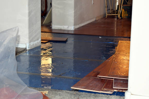 Professional Flood Cleanup technician working in Woodburn, IN